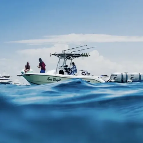 Discover Marine Wildlife in Crystal Clear Waters